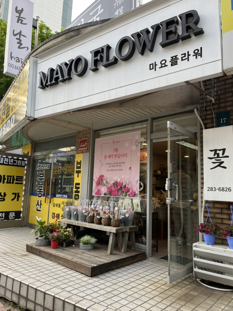 마요앤플라워 이미지