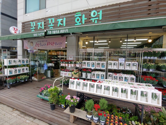 꼼지꼼지화원 이미지