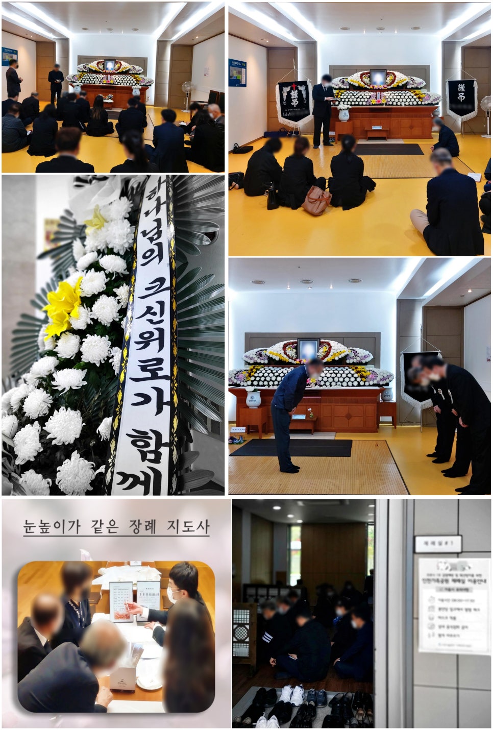 도리상조 이미지