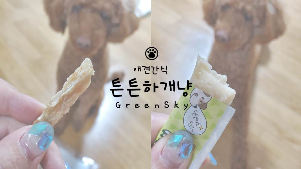 리아유통 이미지