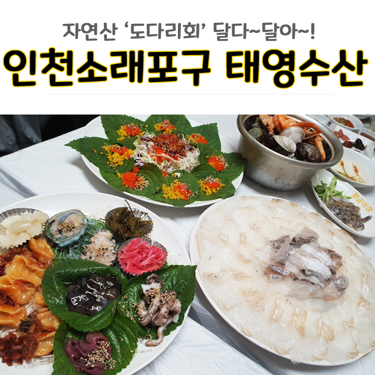 태영회센터 이미지