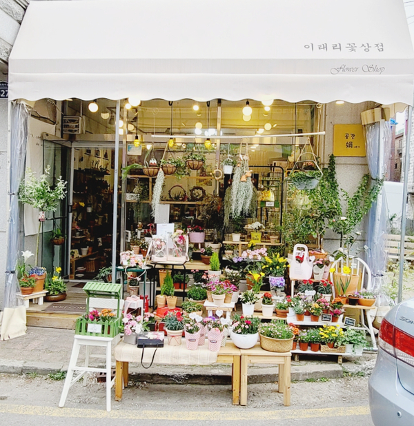이태리꽃상점 이미지
