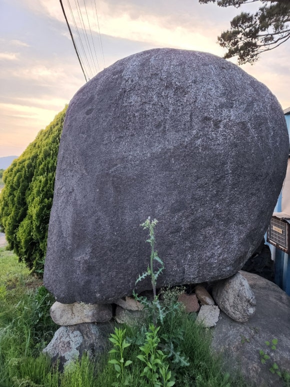 청암조경수목원 이미지