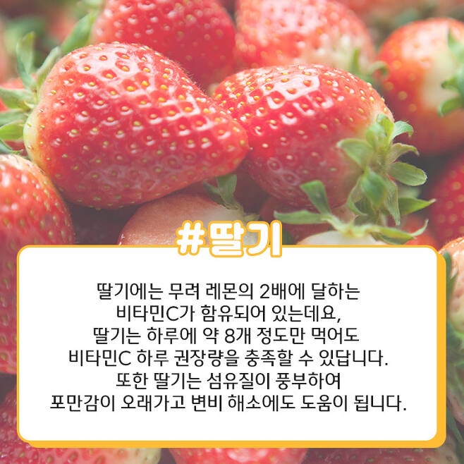 리치정보 이미지
