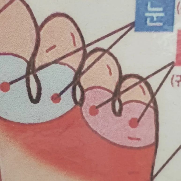 발건강관리족심도 이미지