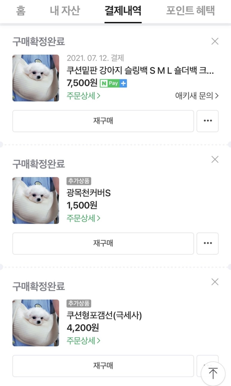 신도담 이미지