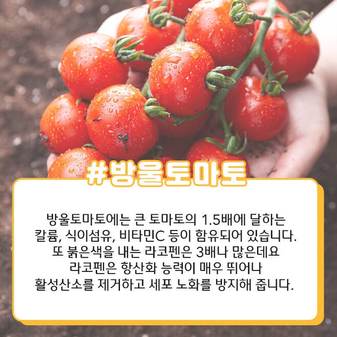 리치정보 이미지