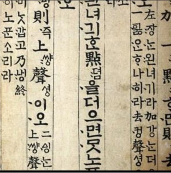 파나팔리 이미지