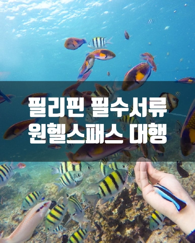 하나플러스여행 이미지