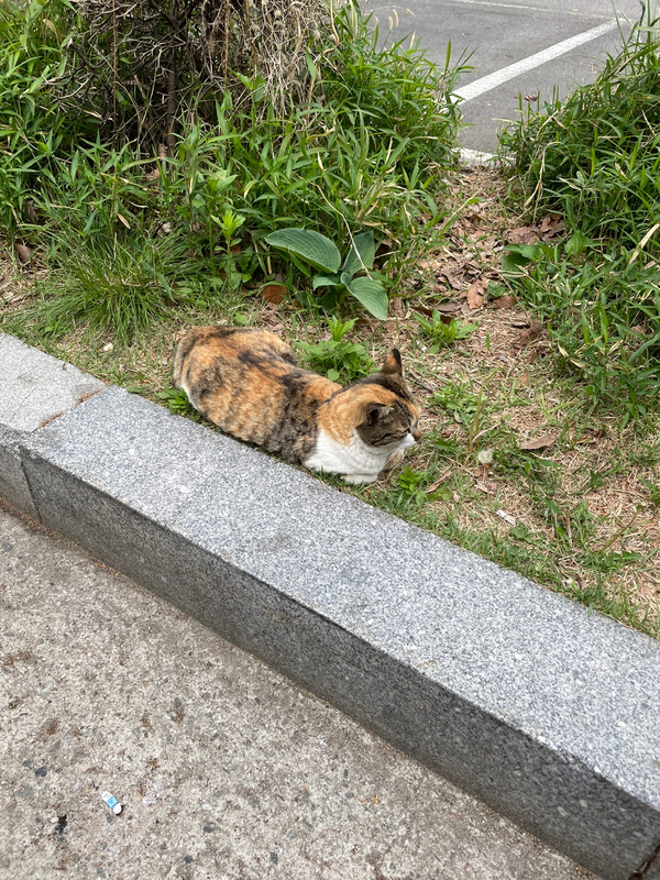 아키비스트 이미지
