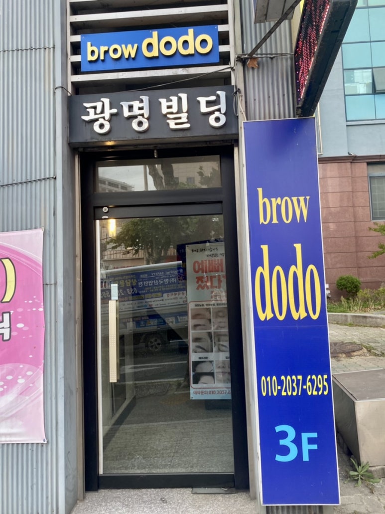 도도브로우 이미지
