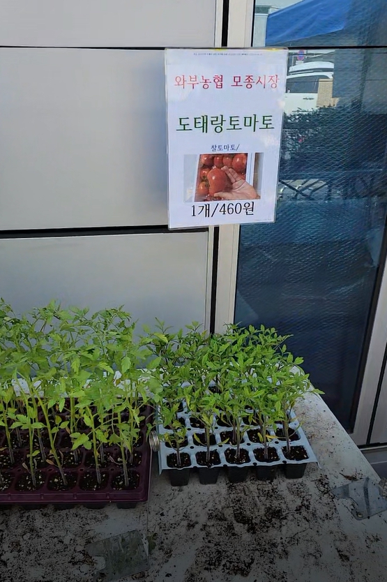 와부농업협동조합하나로마트 이미지