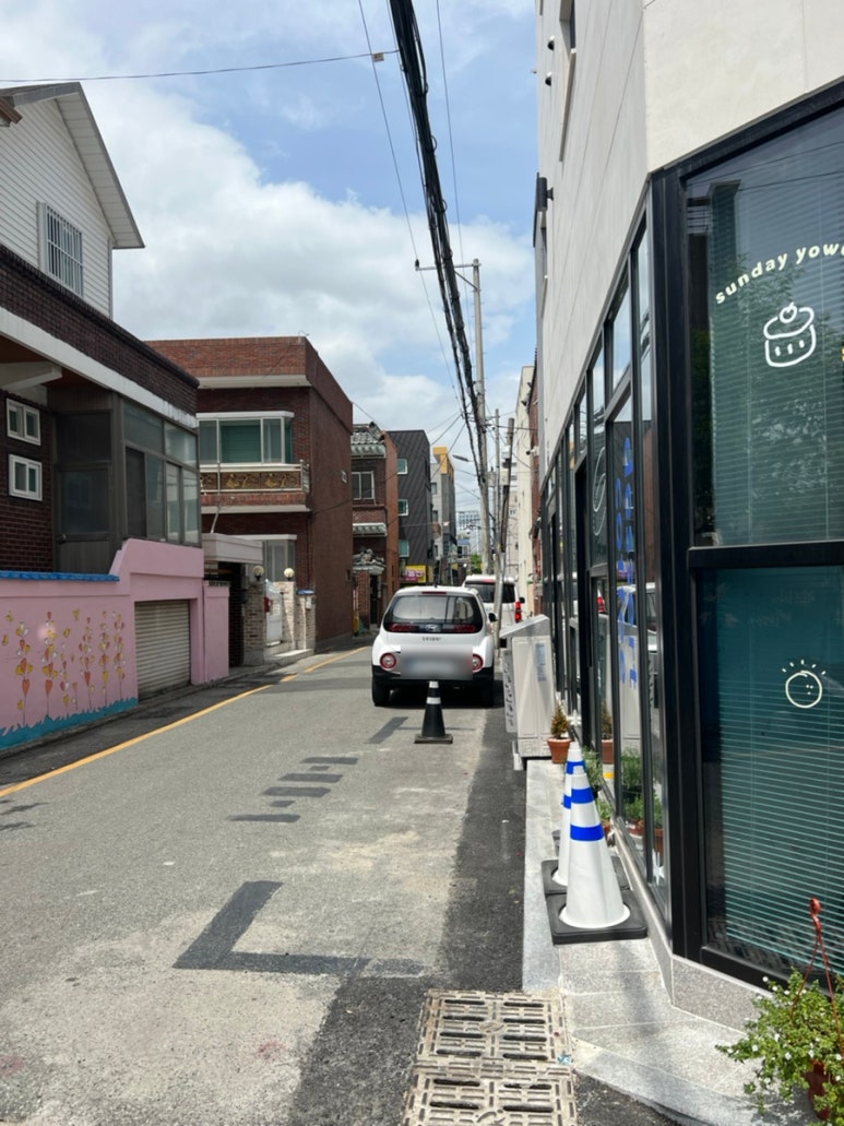 선데이요우 이미지