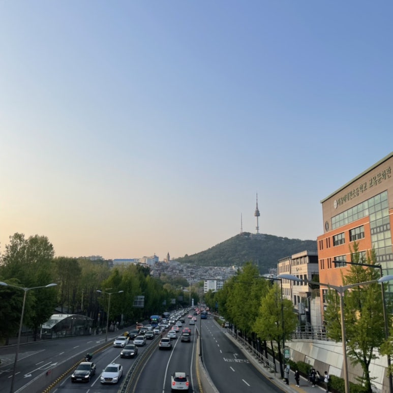 녹사다리 이미지
