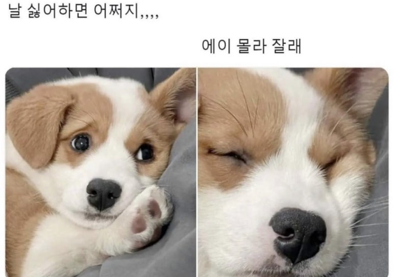 코끼리공장 이미지