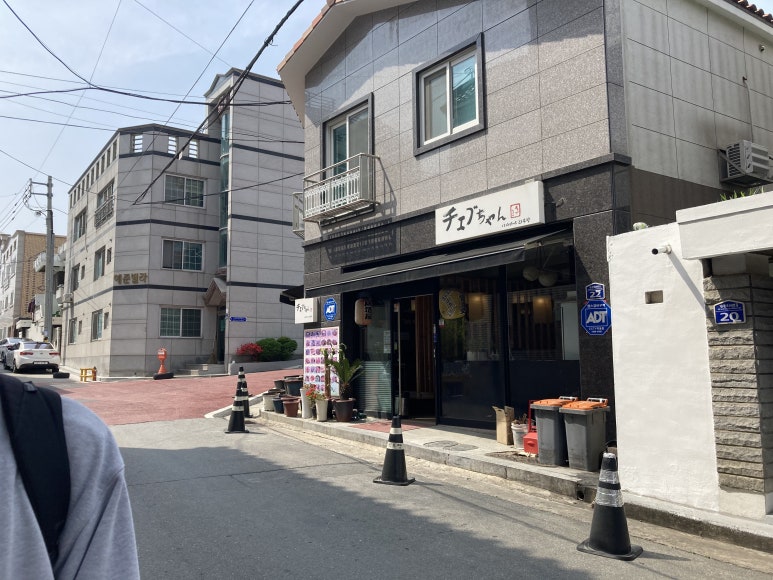 파파돈 이미지