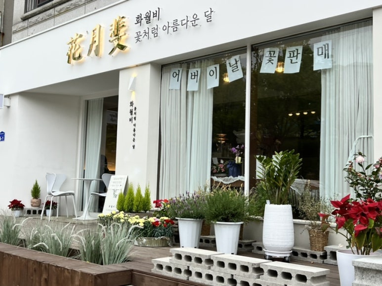 화월비 이미지