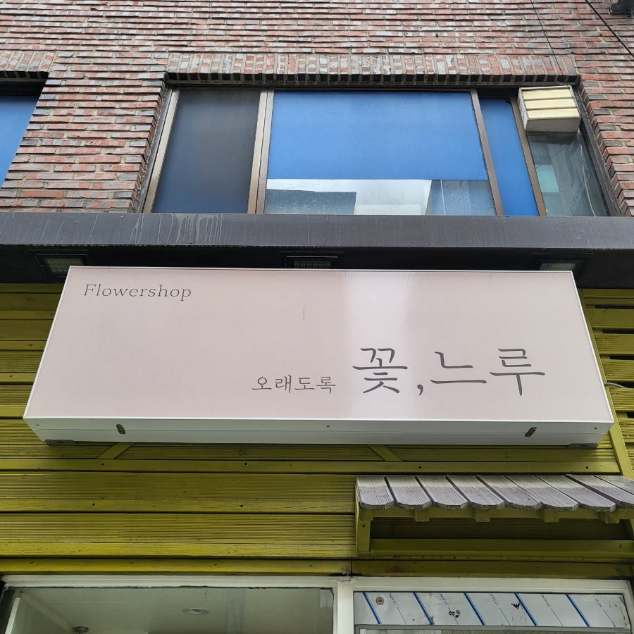 꽃;느루 이미지