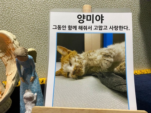 장례희망 이미지
