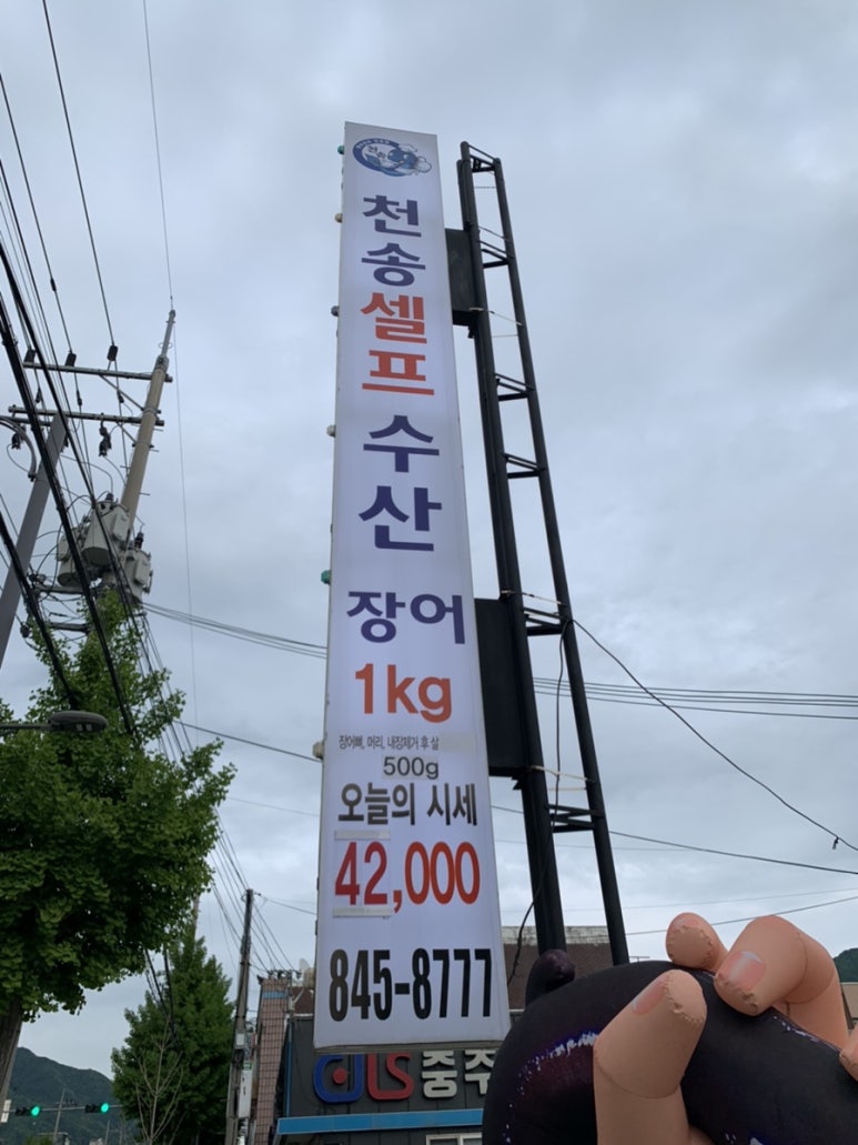 천송셀프 이미지