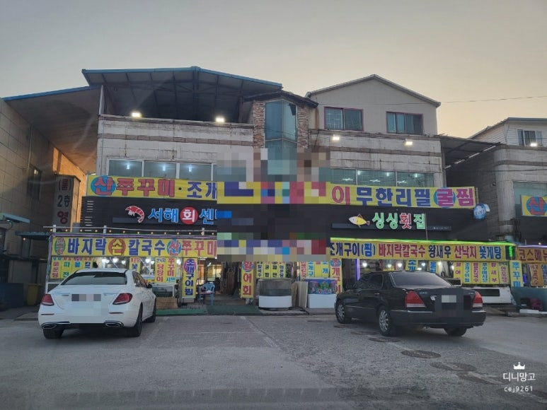 서해회센타 이미지