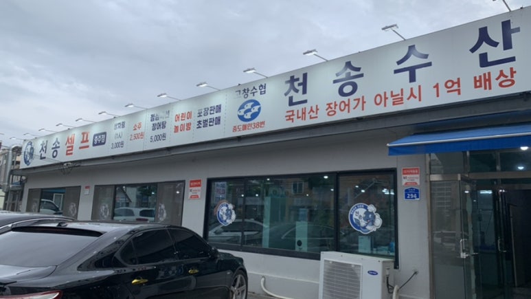 천송셀프 이미지