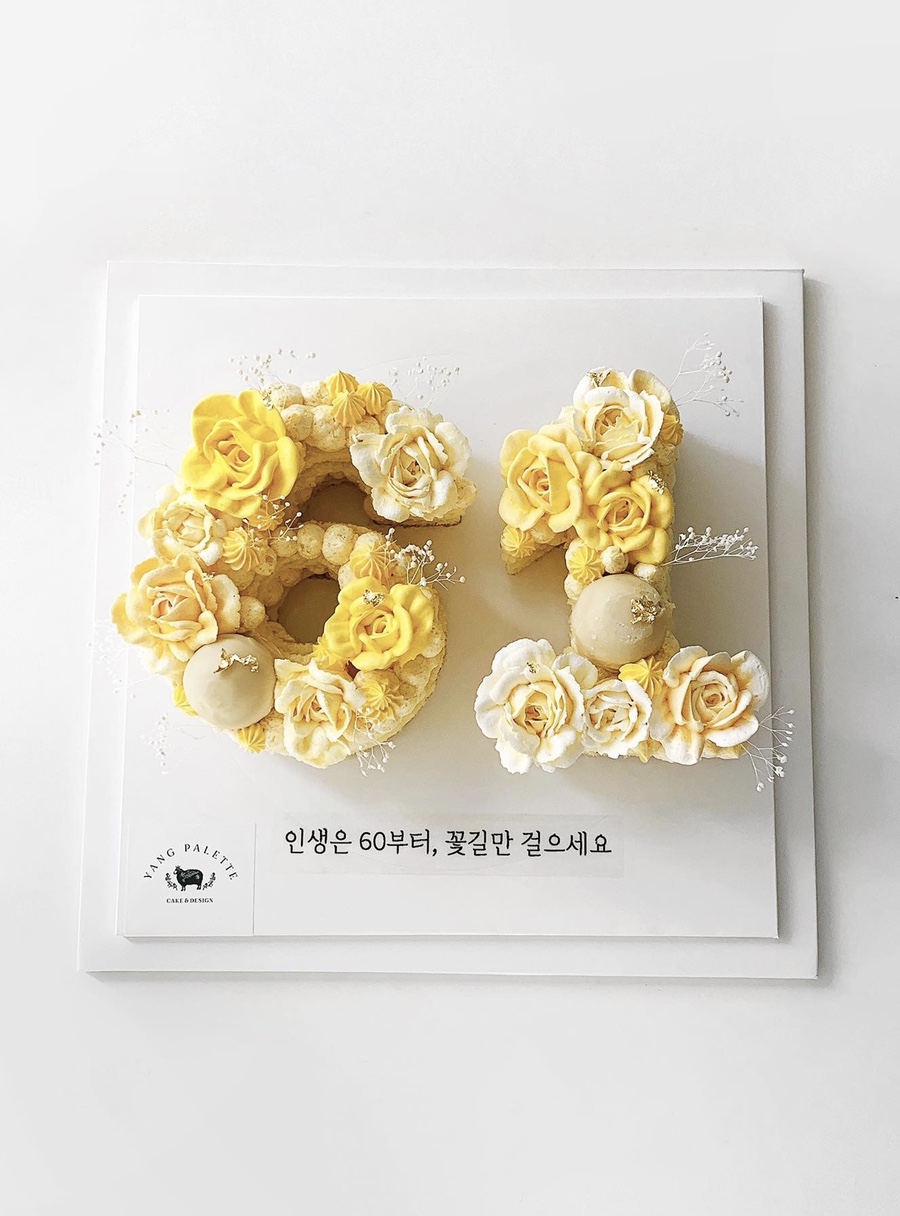양팔레트 이미지