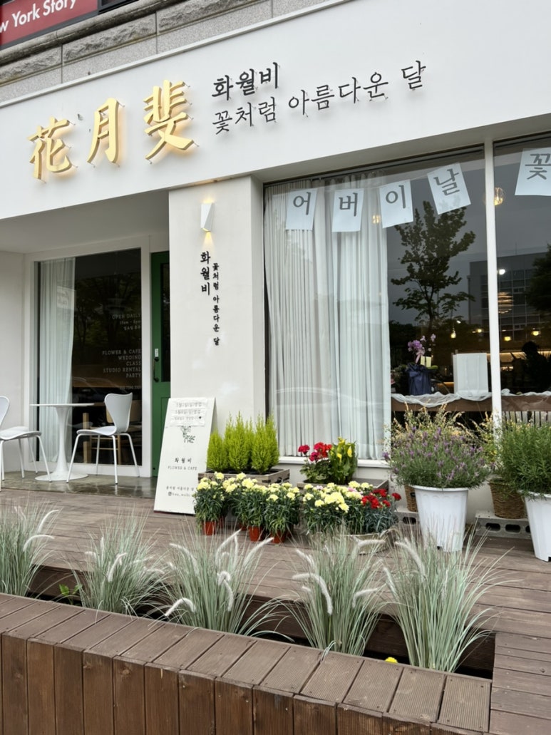 화월비 이미지