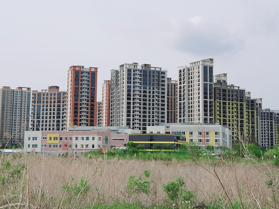 호수초등학교 이미지