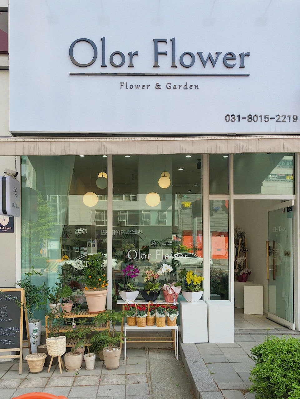 올로르플라워 Olor Flower 이미지