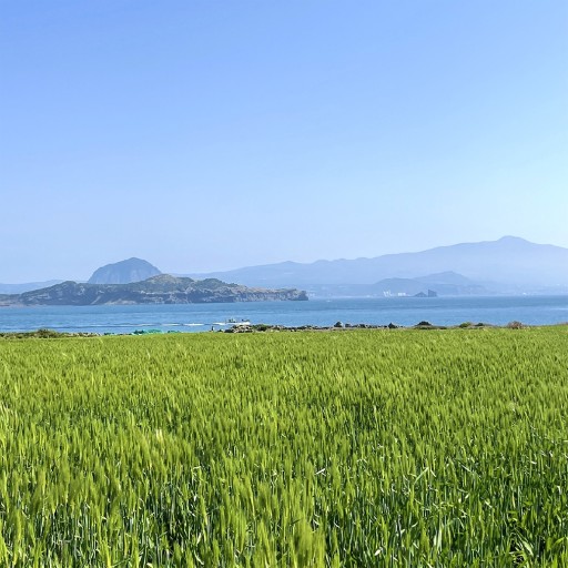 용궁민박 이미지