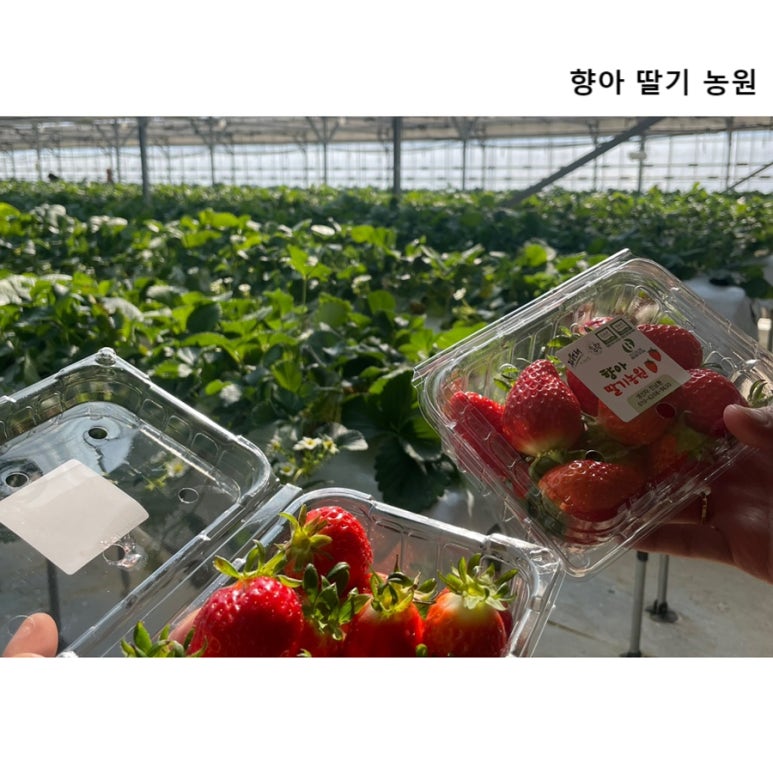 향아농원 이미지