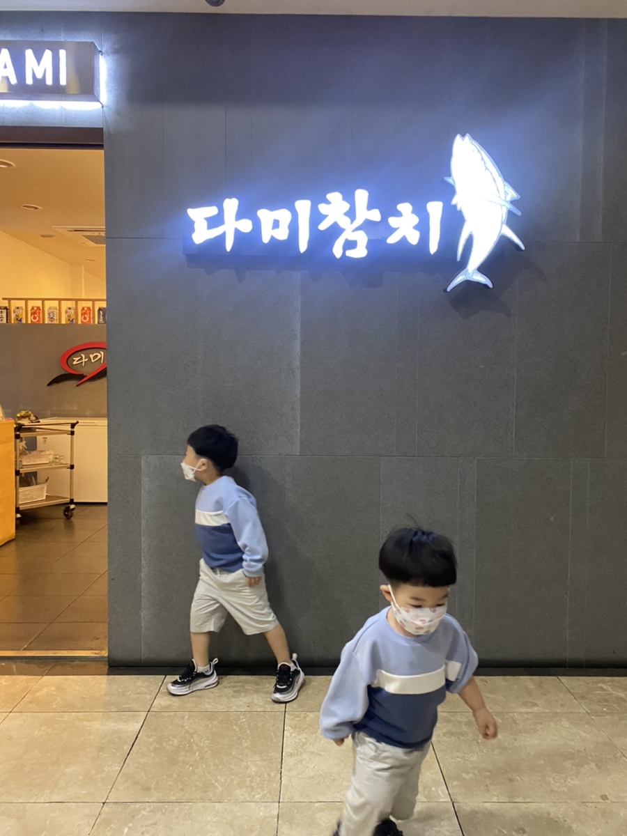 다미참치 이미지
