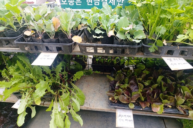 텃밭농약사 이미지