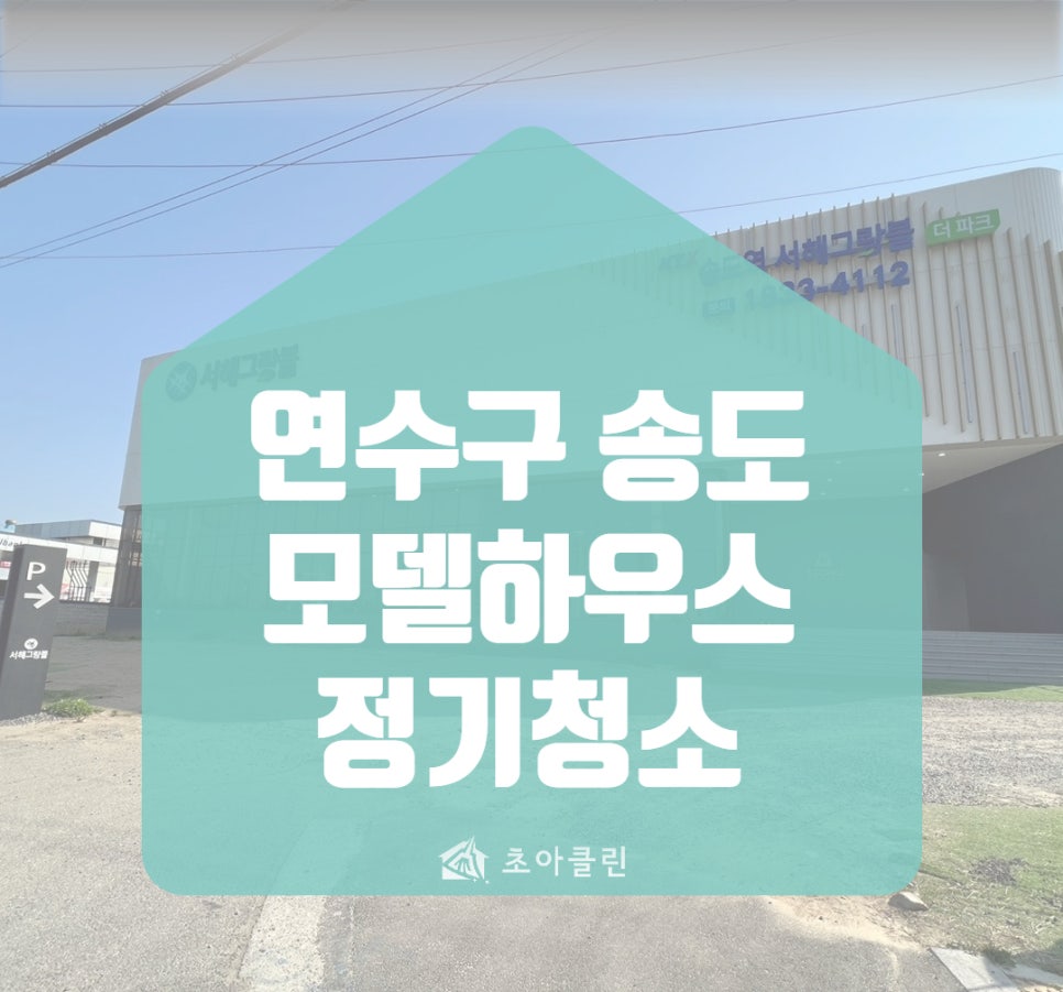 초아클린 이미지