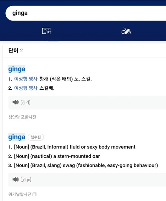 징가(ginga) 이미지