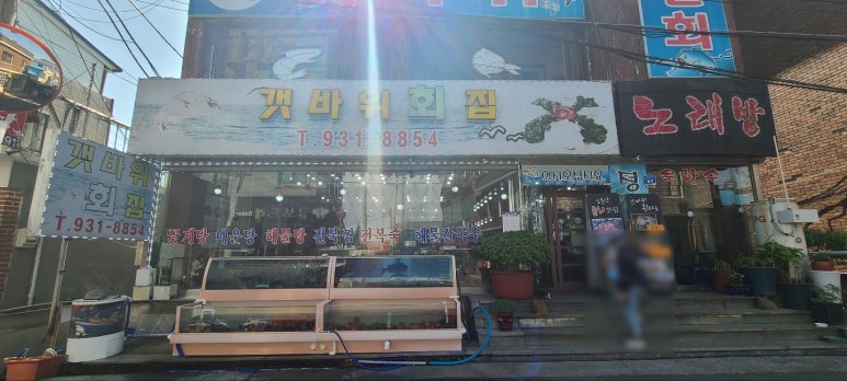 갯바위회타운 이미지