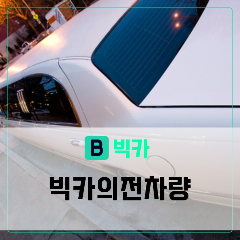 빅카 이미지