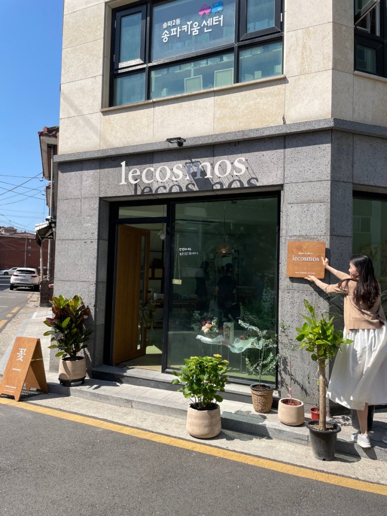 르코스모스 이미지