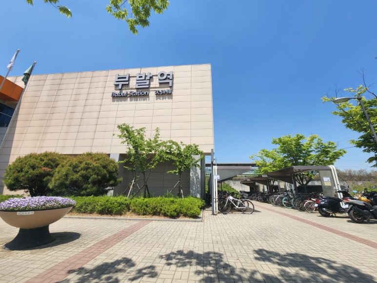 구피촌 이미지