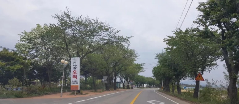 신바람오리 이미지