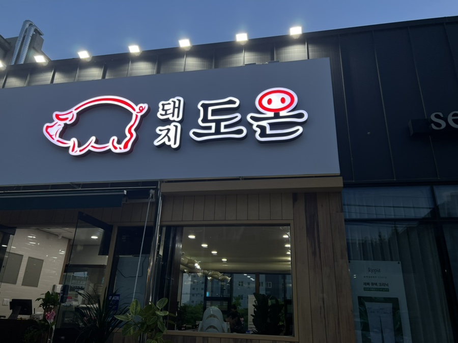 돼지도온 이미지