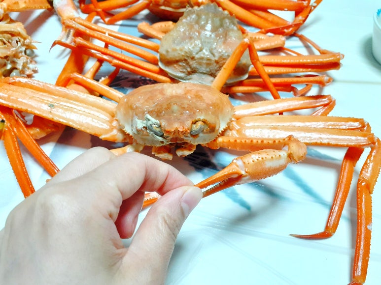 가연수산 이미지