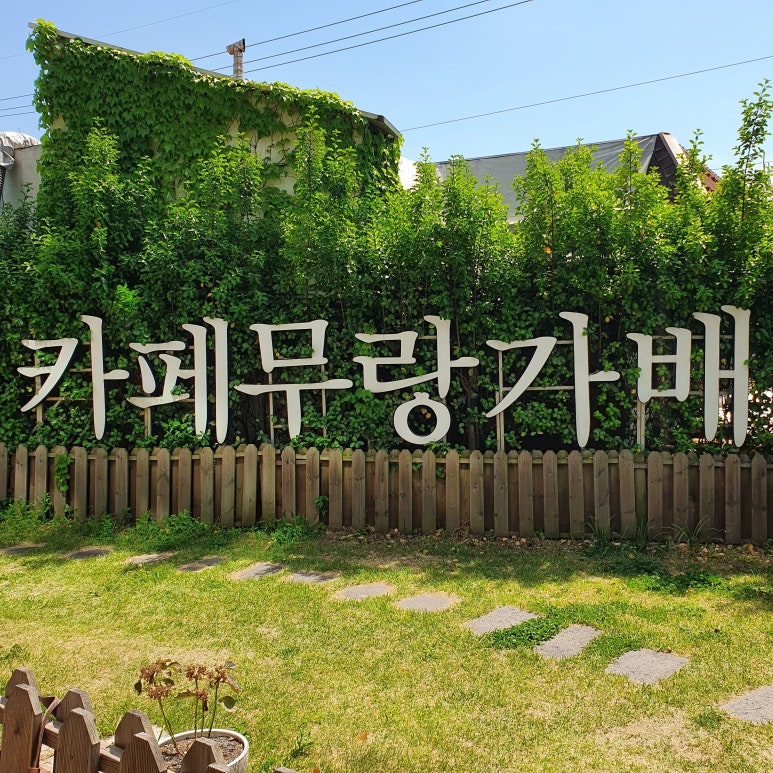 무랑가배 이미지
