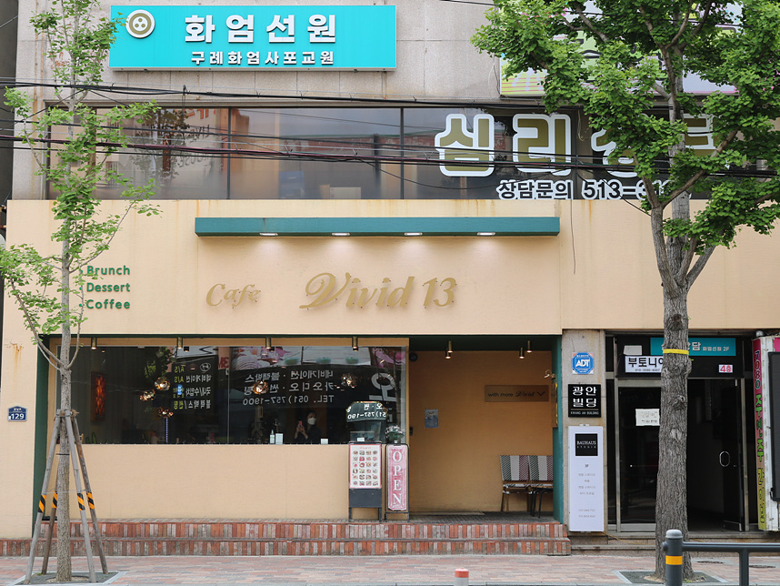 비비드13(vivid13) 이미지