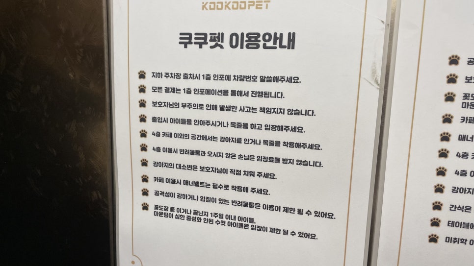 쿠쿠대전 이미지