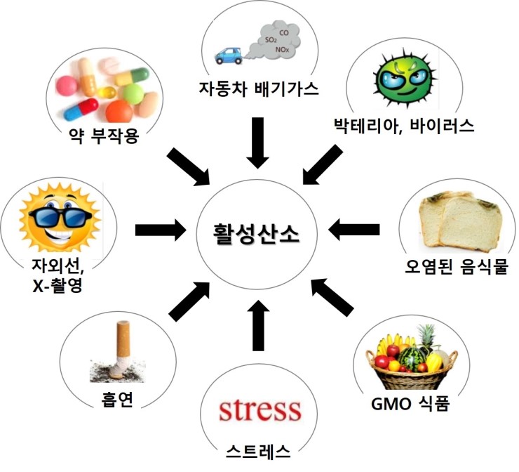 미샾 이미지