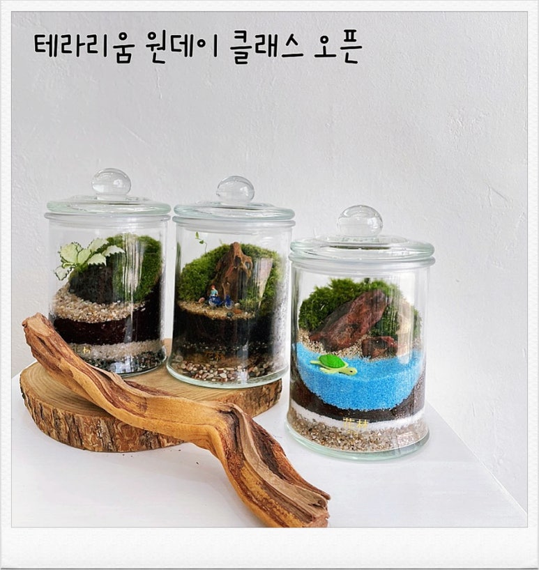 화림원예 이미지
