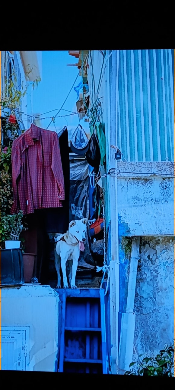 누리상회 이미지