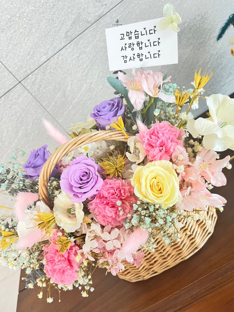 새아라아뜰리에 이미지